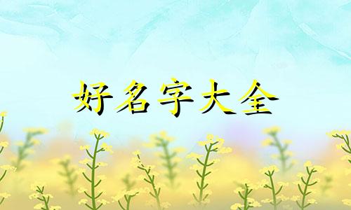 如何给王姓孙子起名字男孩