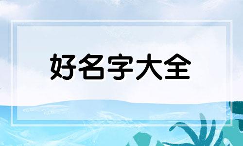 猫舍如何起名字才好听女生