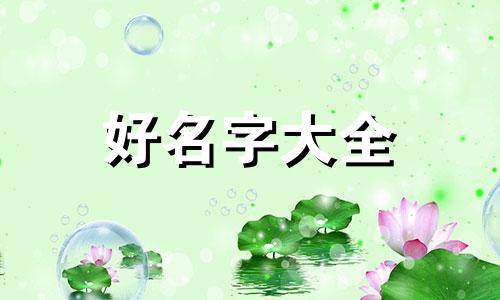 凤头鹦鹉如何起名字的视频