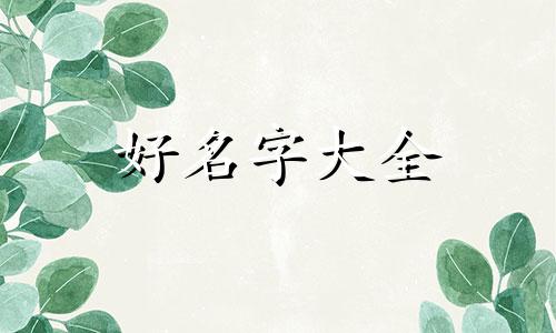 揭姓男宝如何起名字好听