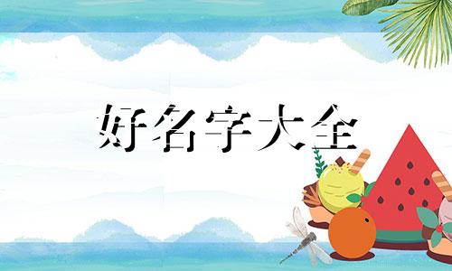 如何给糯米饭团起名字大全