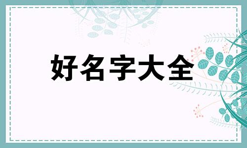 如何给白色的小仓鼠起名字