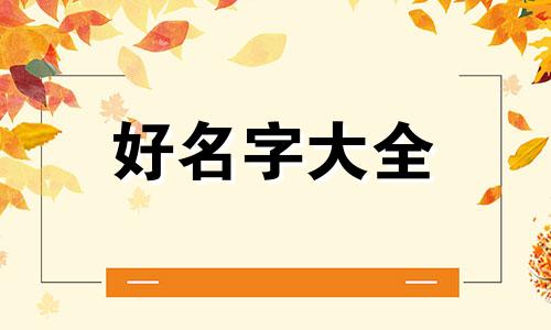月季花如何起名字大全图片