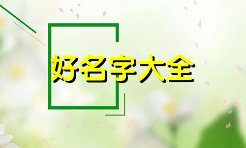 两只狗狗如何起名字的