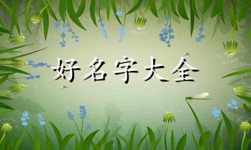 家庭教育如何起名称和口号