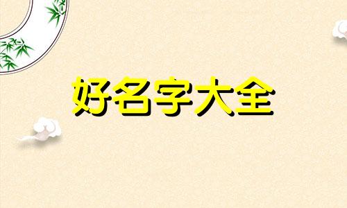 如何帮猫起名子好听点的名字