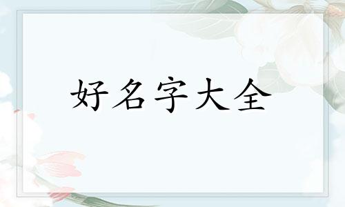 如何用董起名字起网名好听