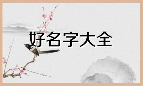 宠物食品店如何起名字