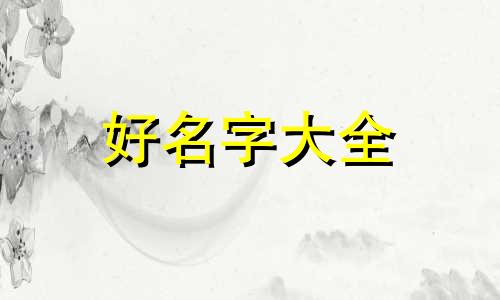 软件开发及推广的公司如何起名