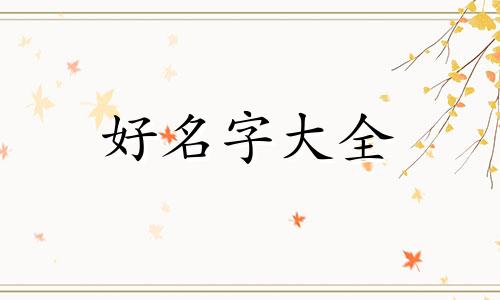 因子分析如何给因子起名字