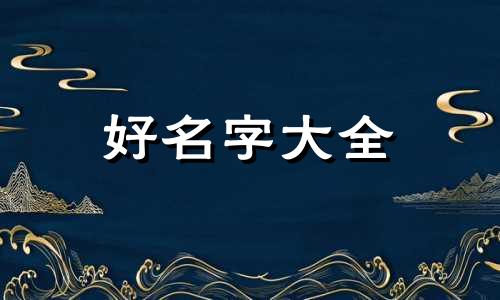 瓷砖美缝剂如何起名字的