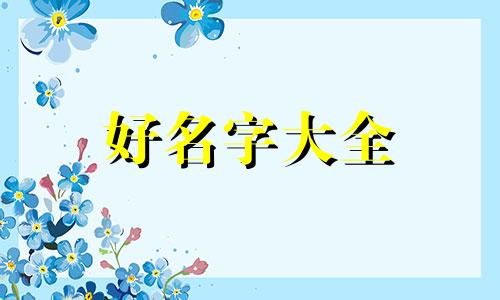 如何给柯基起名好听点的名字