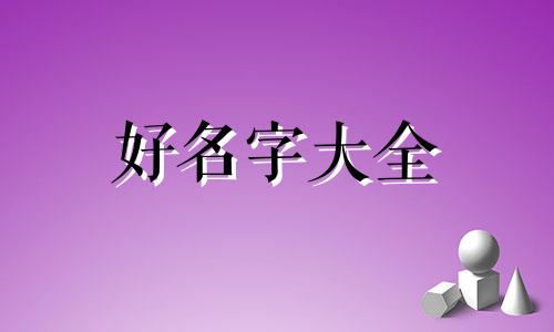 零食名字如何起名字好听