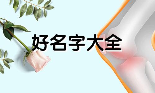 兔宝如何起名字好听点男孩