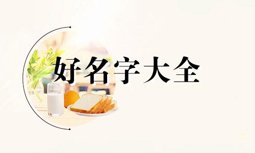 海边民宿如何起名字的好听