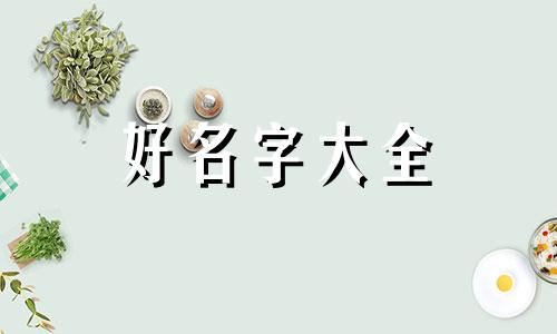 如何给园区下属公司起名字呢