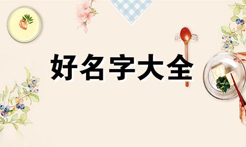 玩具厂起名字如何取大气