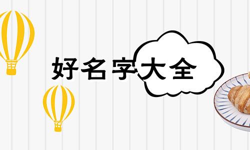 用柴犬做头像如何起名字
