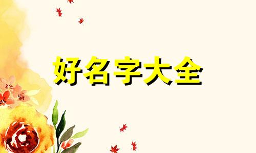 体委群如何起名称吸引人