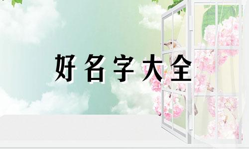 小猫咪该如何起名子才好听