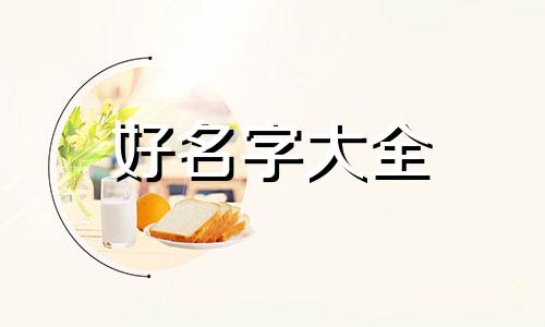 个人独资企业如何起名字