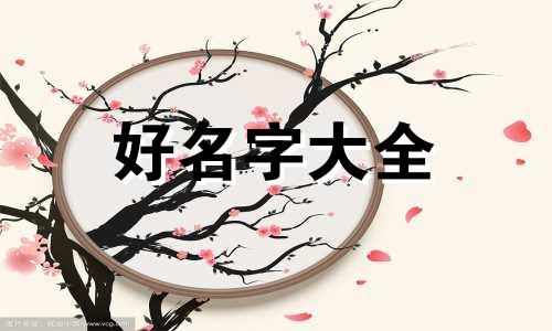 如何起名取名字女孩子大全