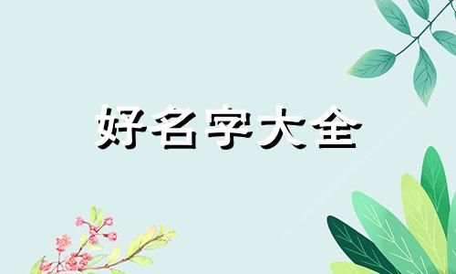 如何做个电商公司起名称