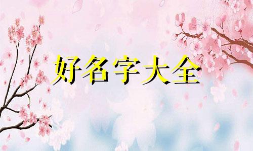 如何帮猫起名字好听的女生