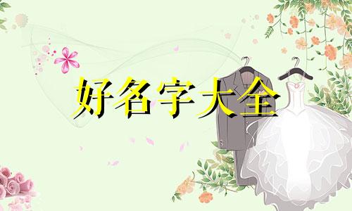 熊猫如何起名字霸气一点