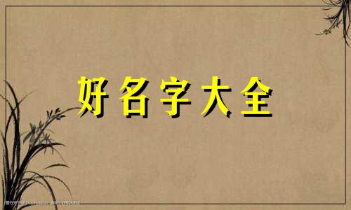 生鲜团购如何起名好听一点