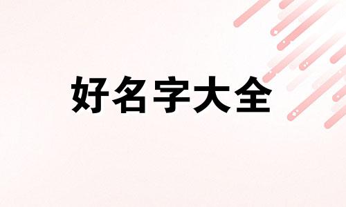 如何给不同的崽崽起名字