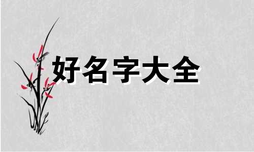 两只黑兔如何起名好听点