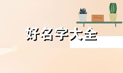 品类如何起名大全四个字