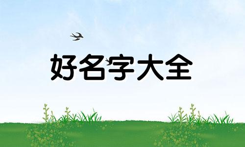 火龙果如何起名女孩子可爱