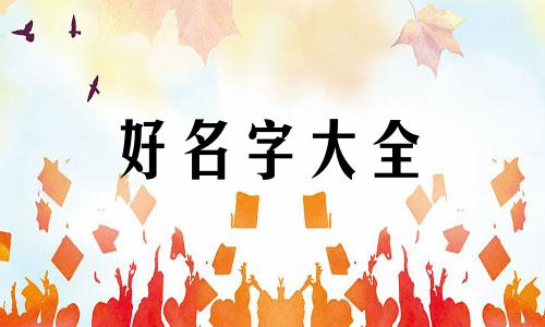 如何给玩具店起名字呢