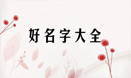 如何给一个风筝起名子呢