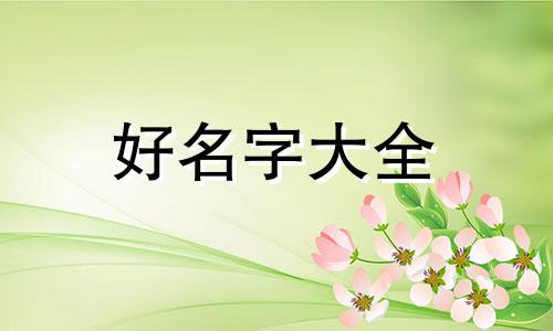 做食品网店如何起名字好听