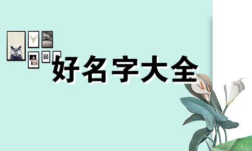 如何起名字有炫酷符号女