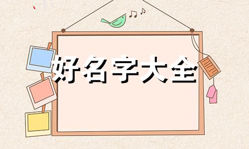 崔和沈如何起名字大全男孩