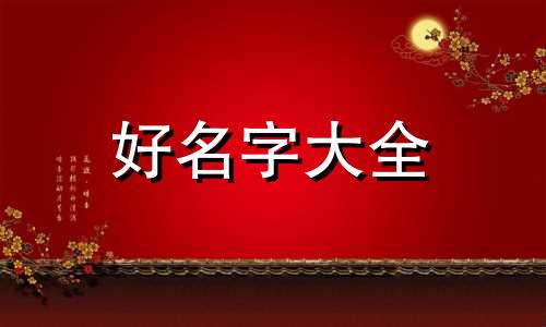 小笼包如何起名子好听又简单