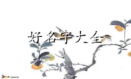 狸花猫如何起名字可爱好听