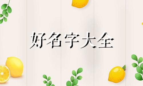 家电清洗个体户如何起名字