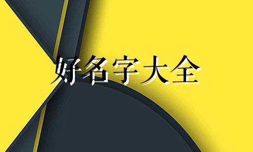 如何给车篮装饰起名字好看