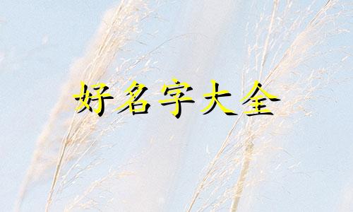 饭店子公司如何起名称好听