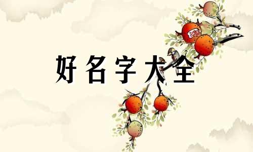 起名中如何分五行属性呢