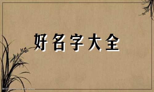 张姓猪宝宝如何起名字男孩