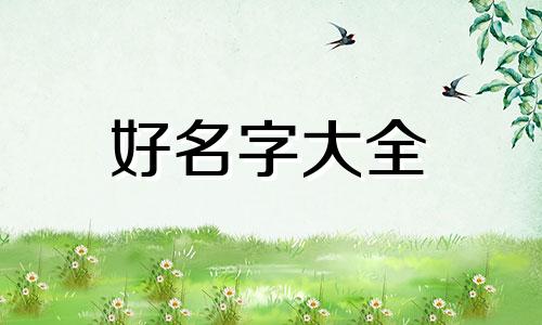 陈姓和孔姓如何起名的呢