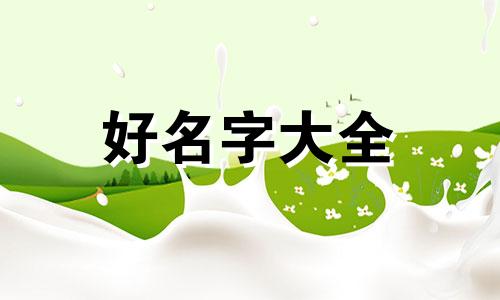 都市天际线道路如何起名字