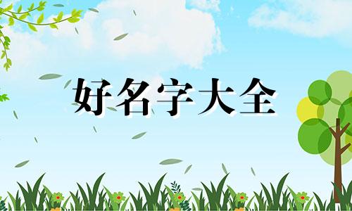 追星人如何起名字女的网名