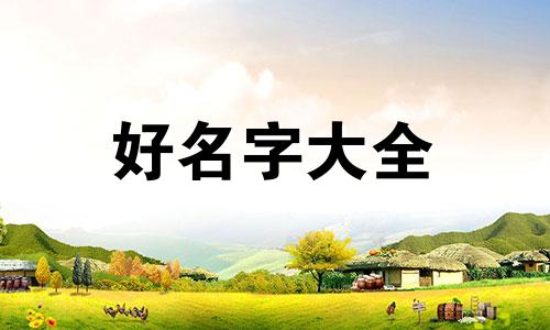 原神如何给散兵起名字好听